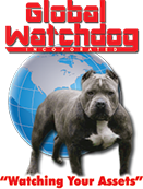 Global Watchdog